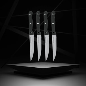Lot de 4 Couteaux à steak Nirosta Mega 21 cm