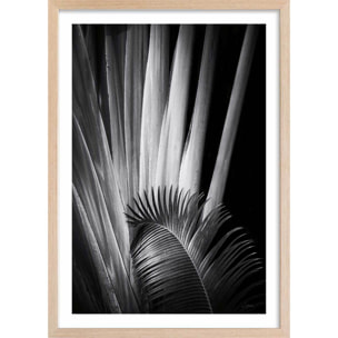 Poster jungle Marbella palm Affiche + cadre en bois - Chêne