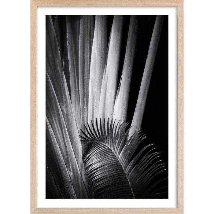 Poster jungle Marbella palm Affiche + cadre en bois - Chêne