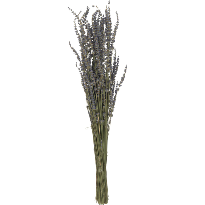 J-Line plante artificielle Bouquet Lavande Seché - rotin - mauve