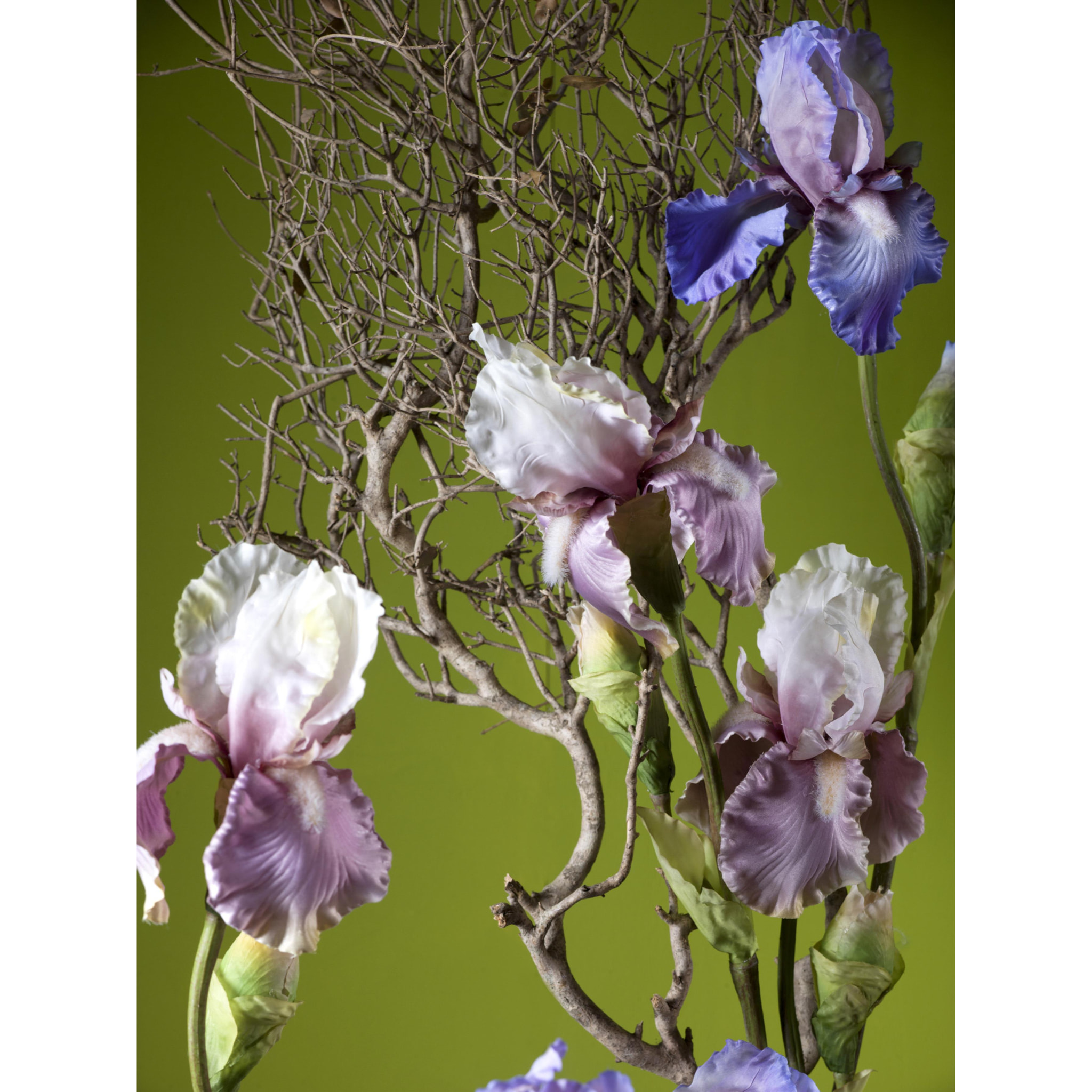 Iris Composto Da 2 Fiori. Altezza 85 Cm - Pezzi 4 - 6X85X6cm - Colore: Altro - Bianchi Dino - Fiori Artificiali