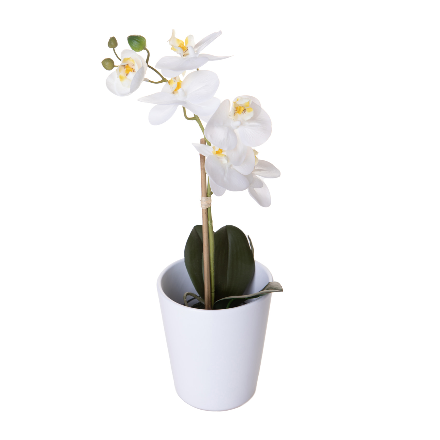 Vaso Orchidea diametro 12X14 Cm - Pezzi 6 - 12X14X12cm - Colore: Bianco - Bianchi Dino - Decori Casa E Complementi