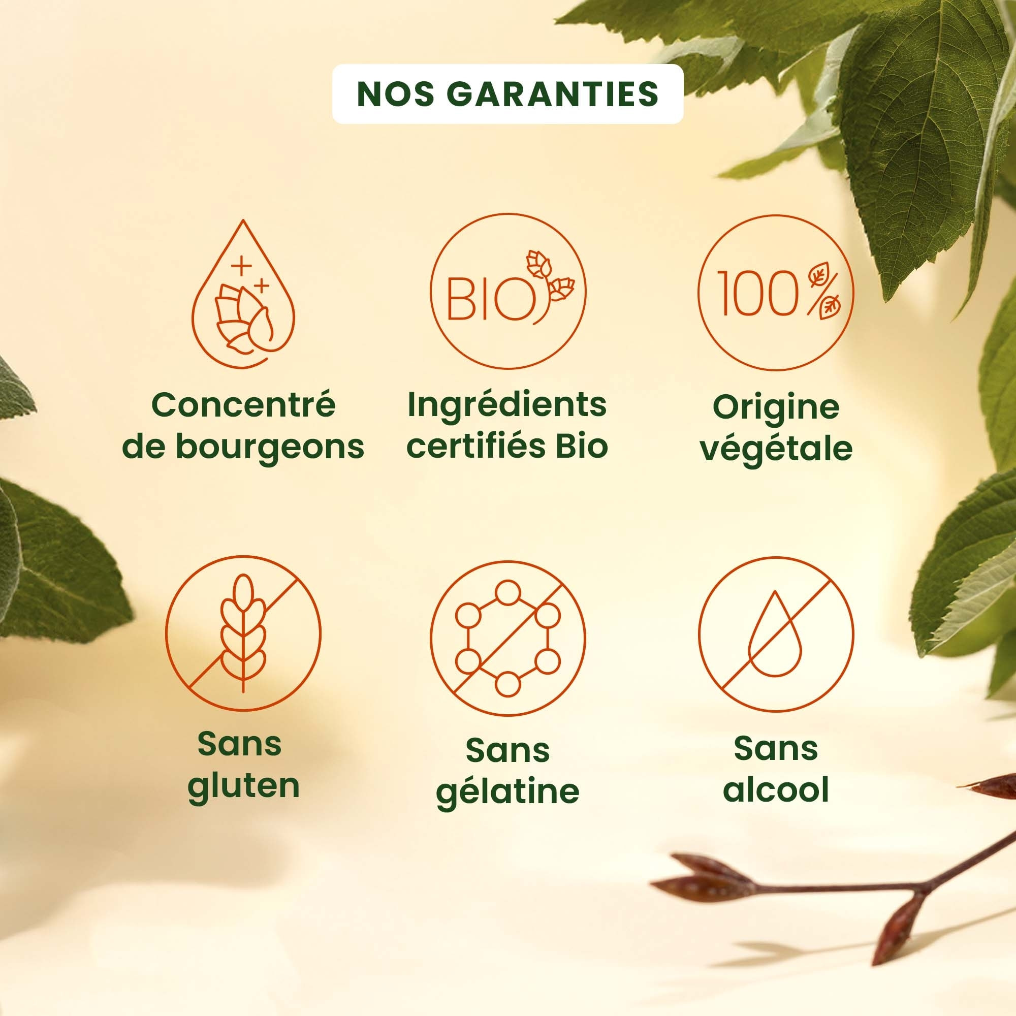 Herbalgem- Pack de 2 Cognition Bio – Concentration & Mémoire - 30 GELULES