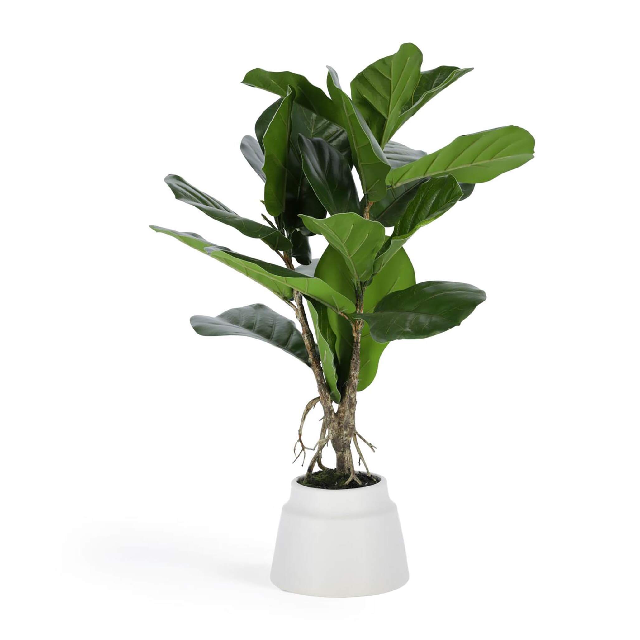 Plante Artificielle 60 Cm Pierre / Céramique LYRATA