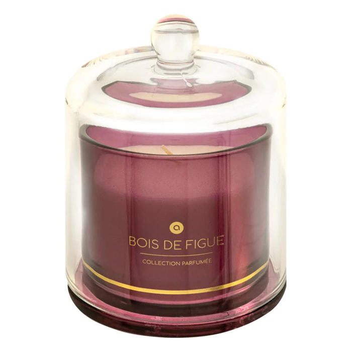 Bougie parfumée Ilae 240g cloche verre figue