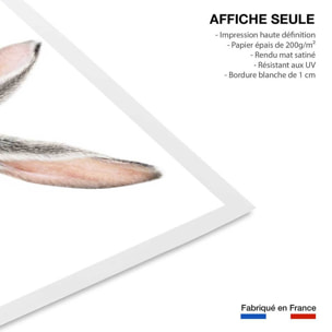 Affiche enfant lapin  Affiche seule
