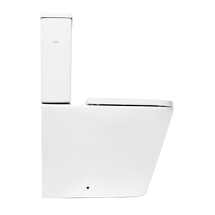 Project Combi WC à poser sans bride en céramique avec abattant SoftClose, blanc (SATPRO31)