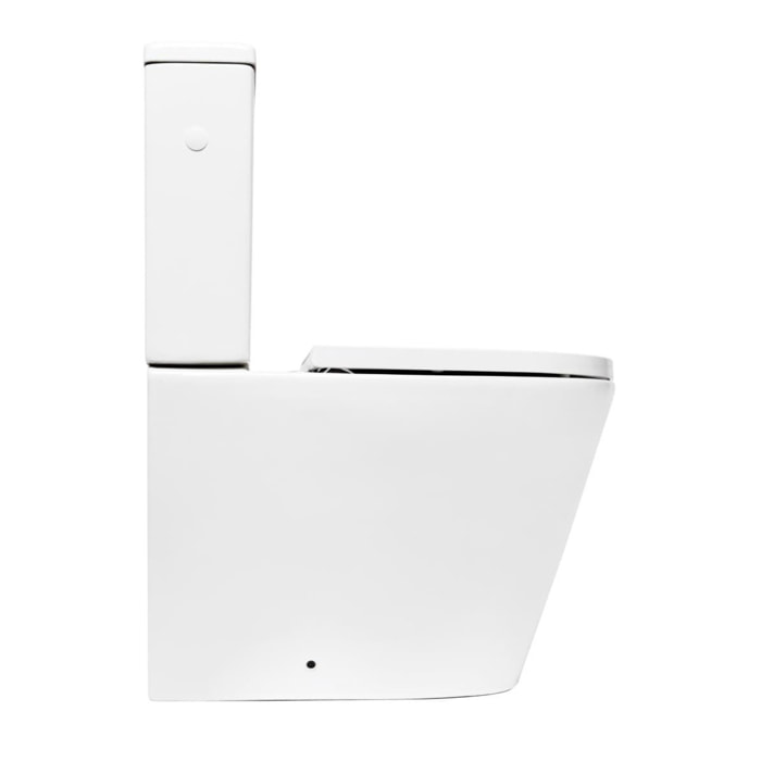 Project Combi WC à poser sans bride en céramique avec abattant SoftClose, blanc (SATPRO31)