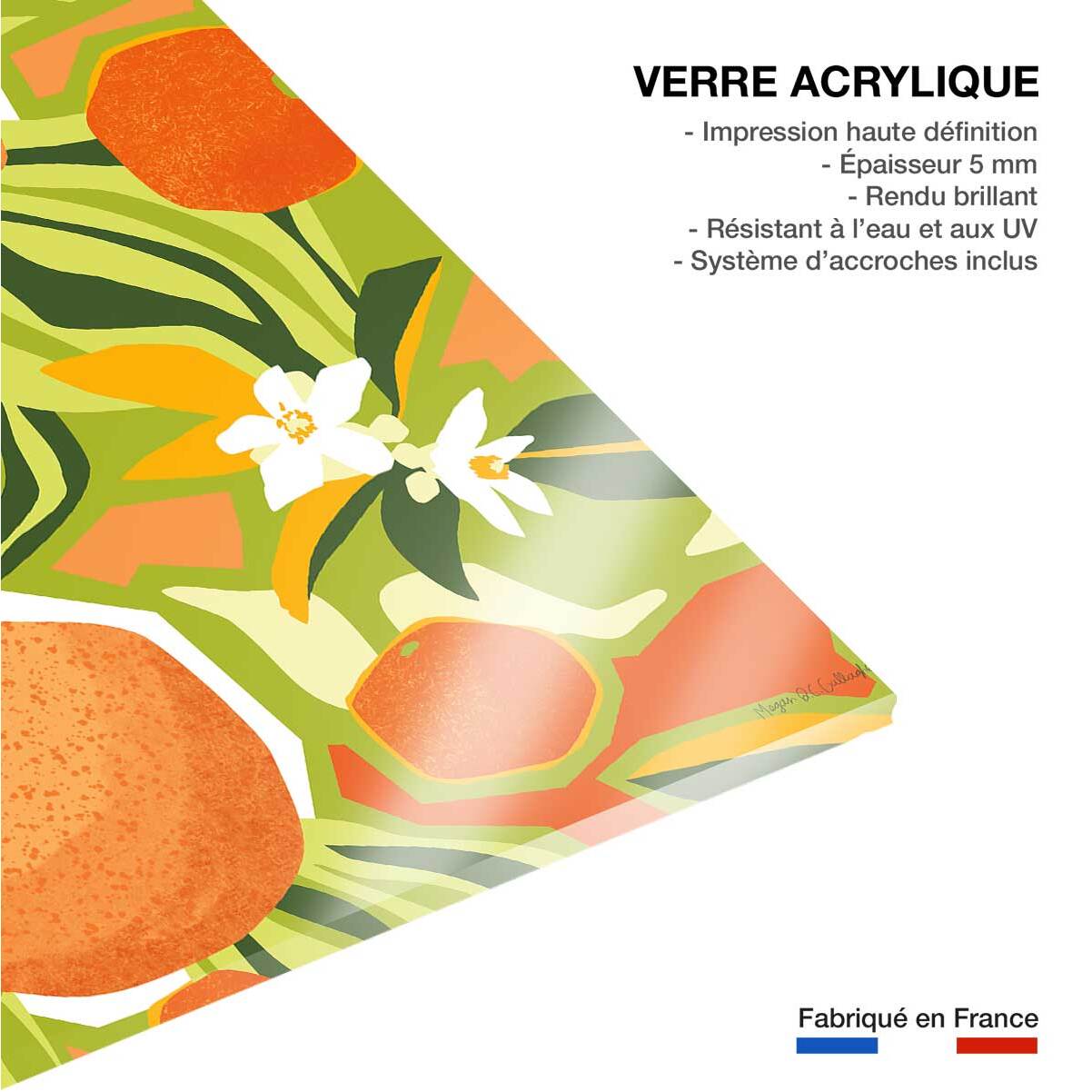 Tableau bel oranger Tableau plexiglas
