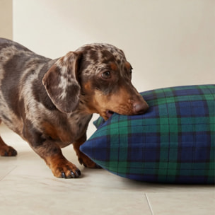Housse antitaches pour lit pour animal Romo