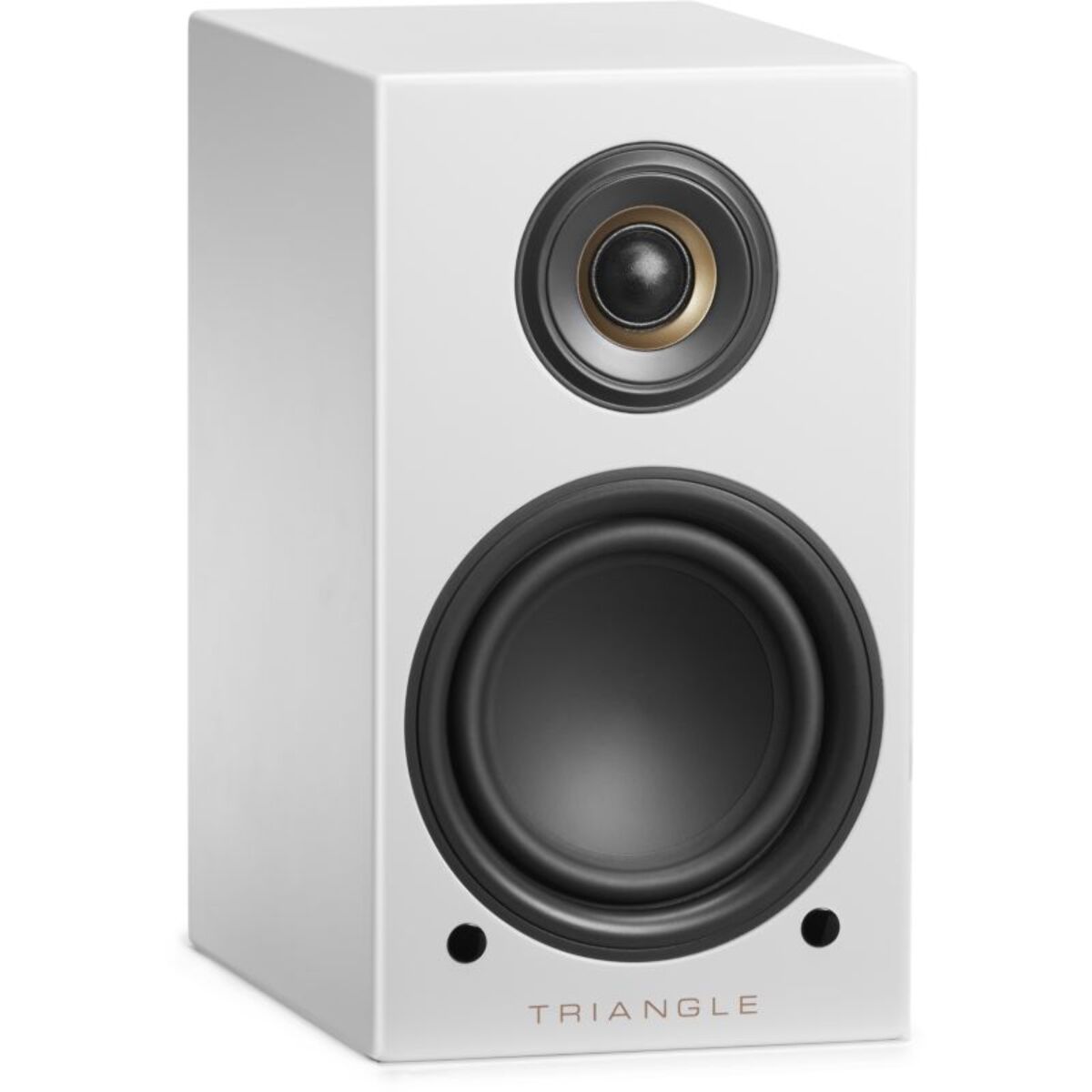 Enceinte bibliothèque active TRIANGLE LN01A ELARA BLANC MAT X2