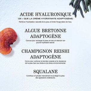 Source Hydra + - Baume Lèvres Hydratant Repulpant 12H 15ml