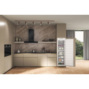 Congélateur encastrable WHIRLPOOL WHSD18F053C1FR