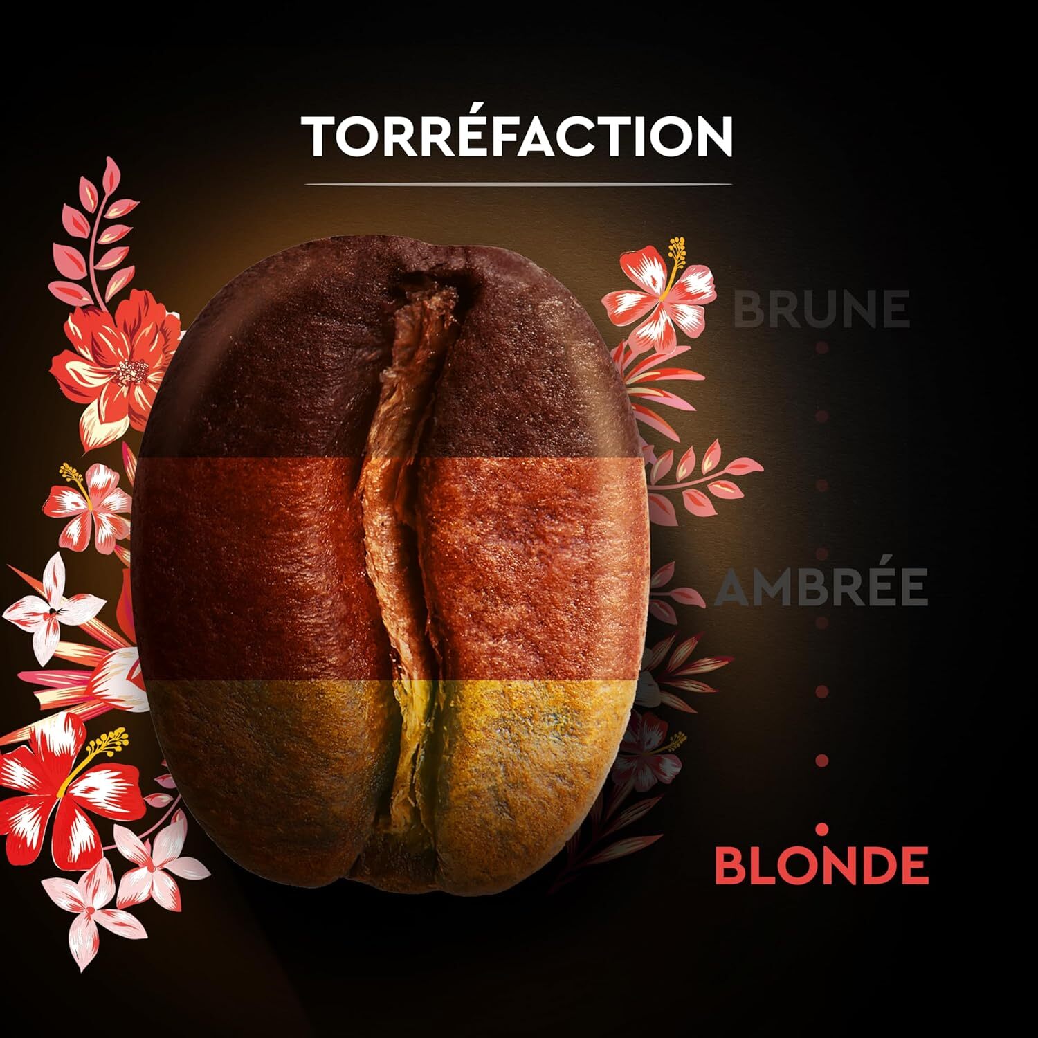 Moulu Sélection Pérou 250G