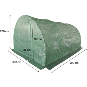 Serre tunelle de jardin 4 x 3 m "Lys" - 12 m² - 140g - Vert