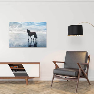 Tableau cheval mouvement du cheval  Tableau alu Dibond
