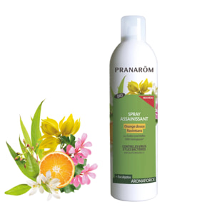 Pranarom - Spray assainissant Orange douce - Ravintsara - Bio - 400 ml