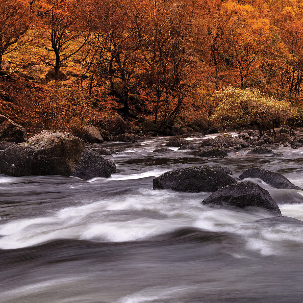 Papier peint rivière en automne Intissé