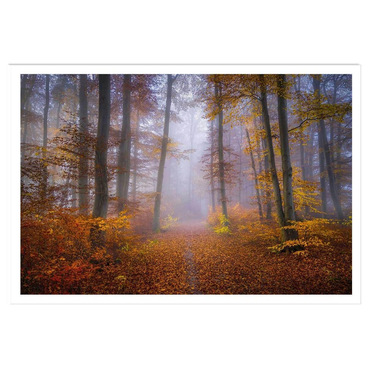 Affiche Chemin d'automne Affiche seule