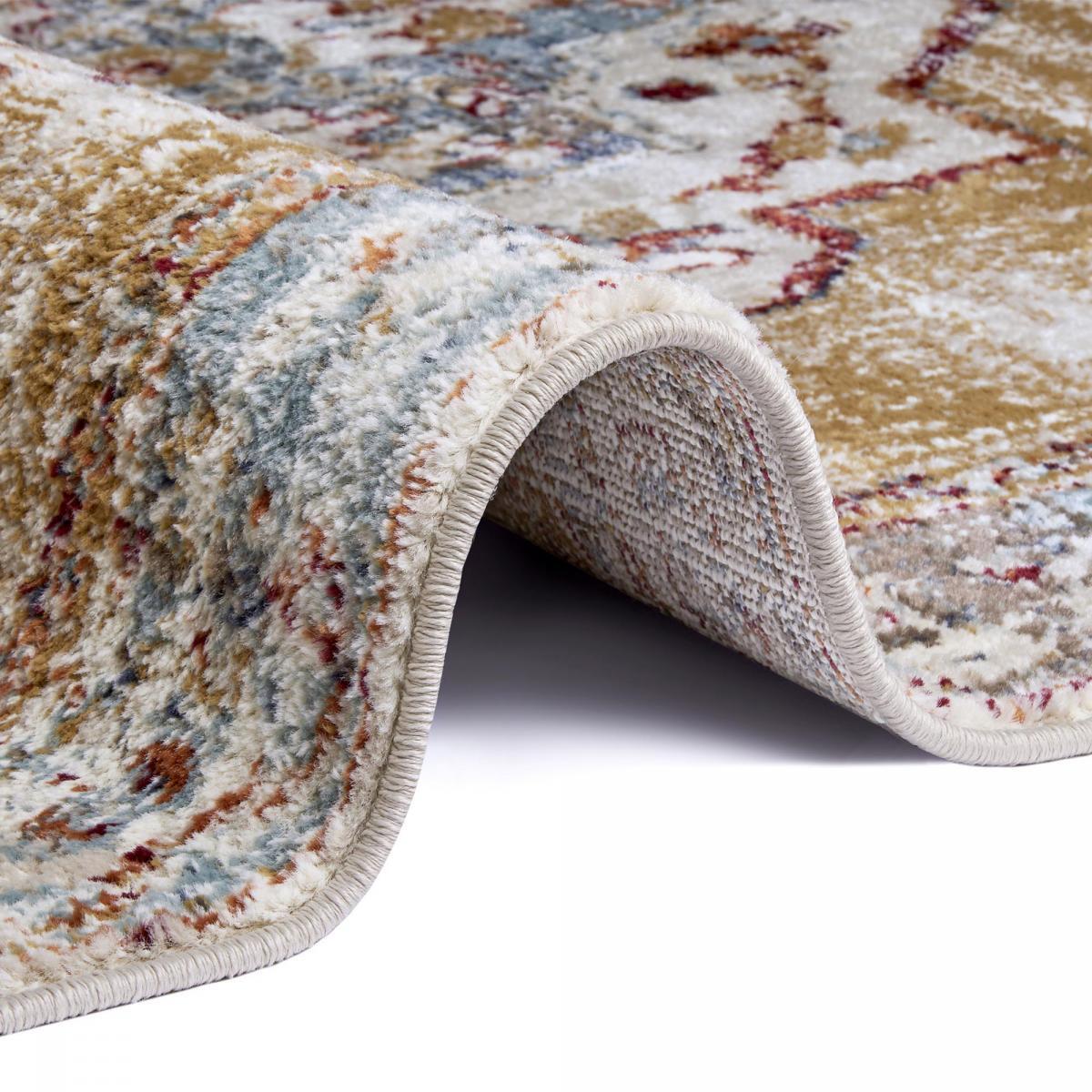 Tapis salon Rectangulaire Oriental