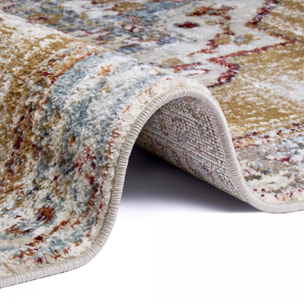 Tapis salon Rectangulaire Oriental