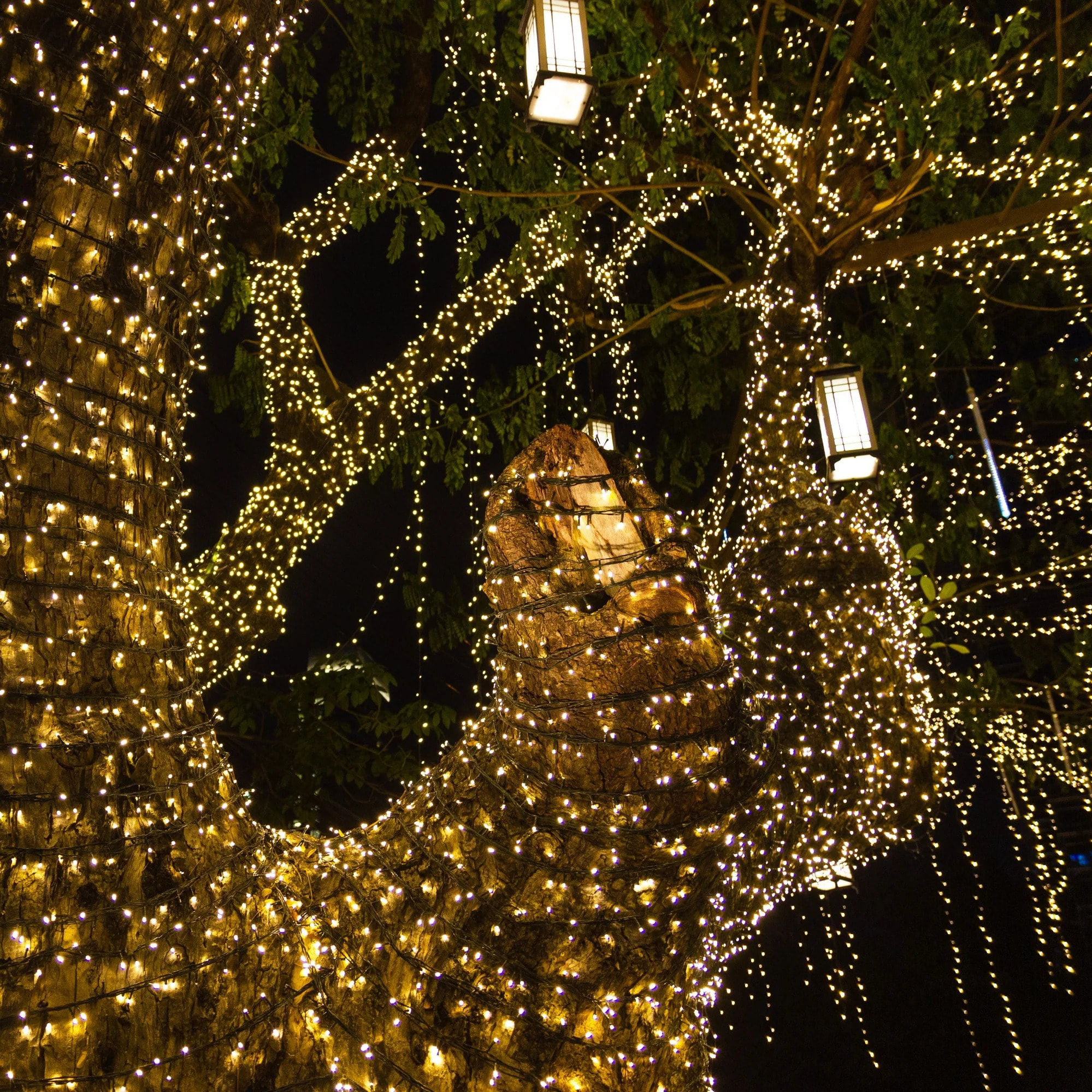 Guirlande solaire YOGY 400 LED 33.9M