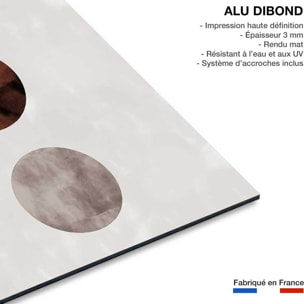 Tableau Lune pleine Tableau alu Dibond