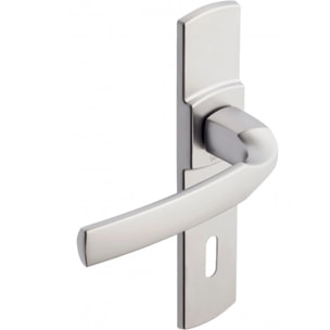 Ensemble de porte sur plaque Artis BEZAULT Entraxe 165mm - Inox brossé - Clé L - 865223