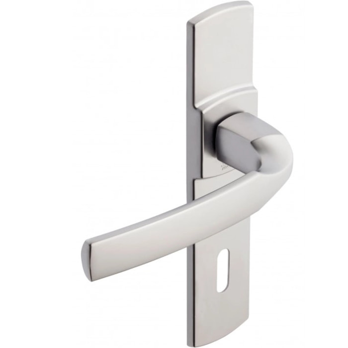 Ensemble de porte sur plaque Artis BEZAULT Entraxe 165mm - Inox brossé - Clé L - 865223