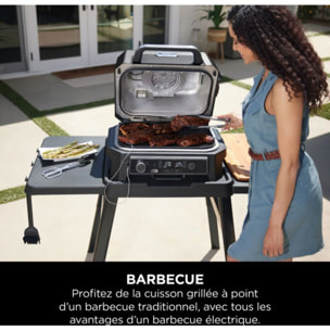 Barbecue électrique NINJA Woodfire Pro XL avec thermosonde Smart Cook OG850EU