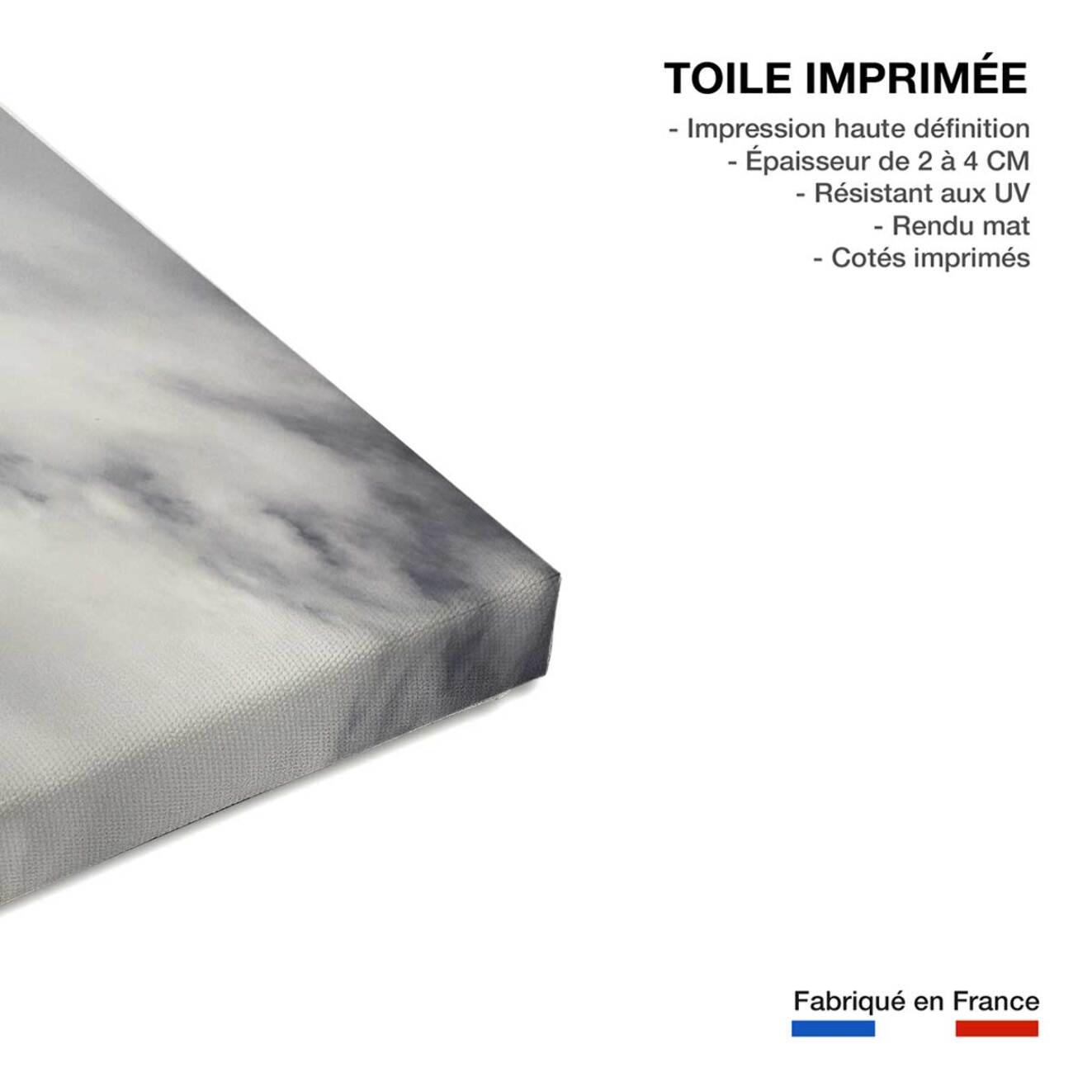 Tableau Chevaux blancs Toile imprimée