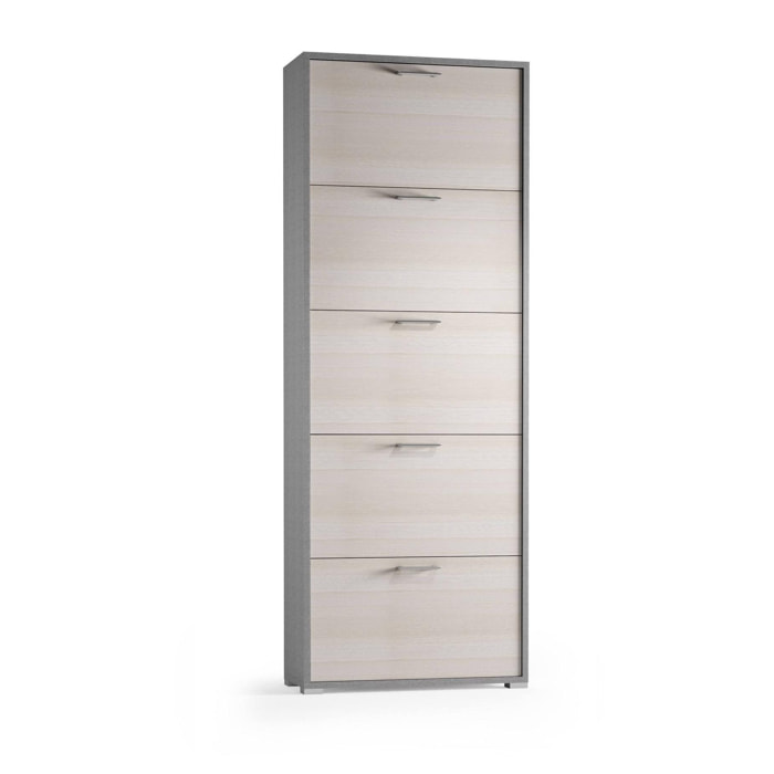 Scarpiera Margherita, Mobile multiuso da ingresso con 5 ante a ribalta, Armadietto portascarpe moderno, 100% Made in Italy, Cm 67x18h184, Larice