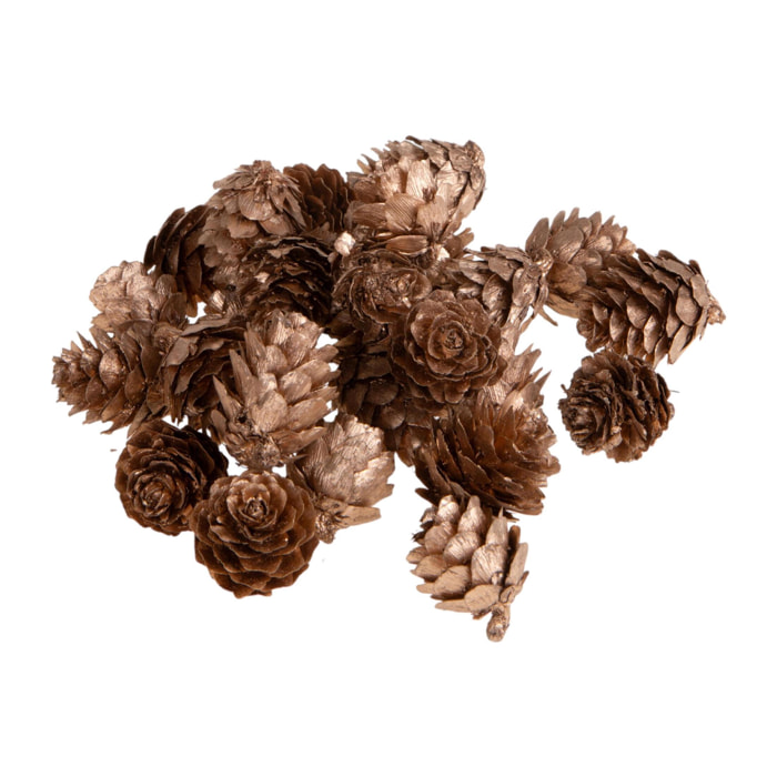 Mini pigne - Pezzi 6 - 15xH5x13cm - Bianchi Dino SpA