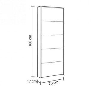 Scarpiera Washington, Armadio portascarpe a 5 ante a ribalta, Scarpiera alta da ingresso, Scarpiera moderna, cm 70x17h180, Bianco lucido