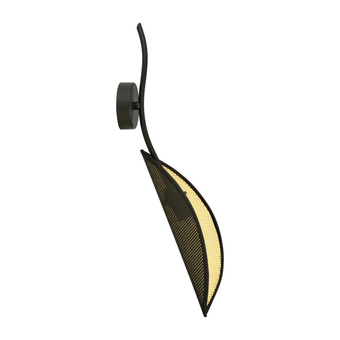 Applique Lotus a forma di foglia in acciaio nero e oro