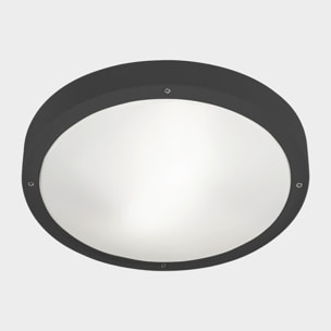 LEDS C4 Plafon Ip66 Basic Led 11.7W Sw 2700-3200-4000K On-Off Gris Urbano 1269Lm