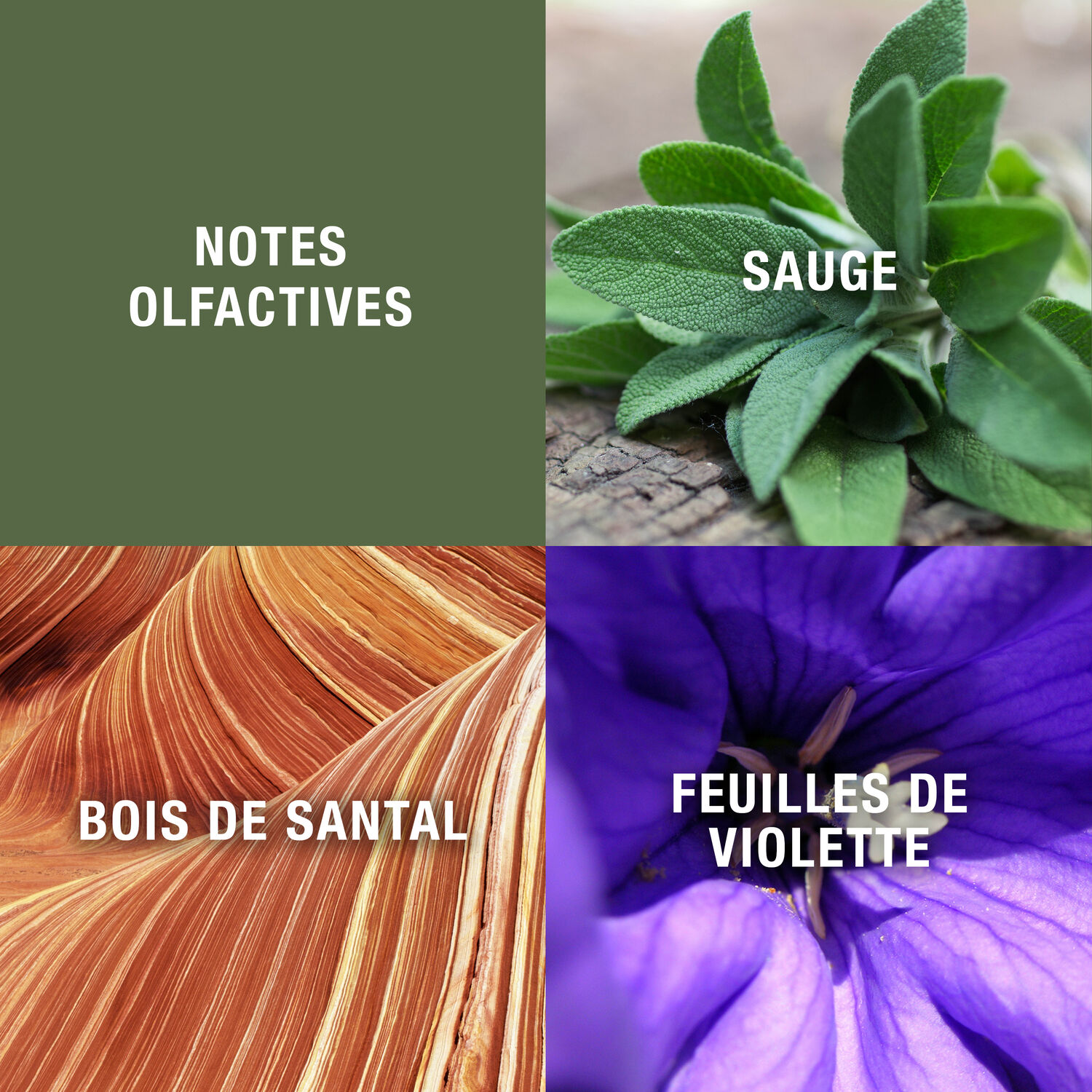 Grey Flannel - Eau de Toilette - Vaporisateur 240 ml