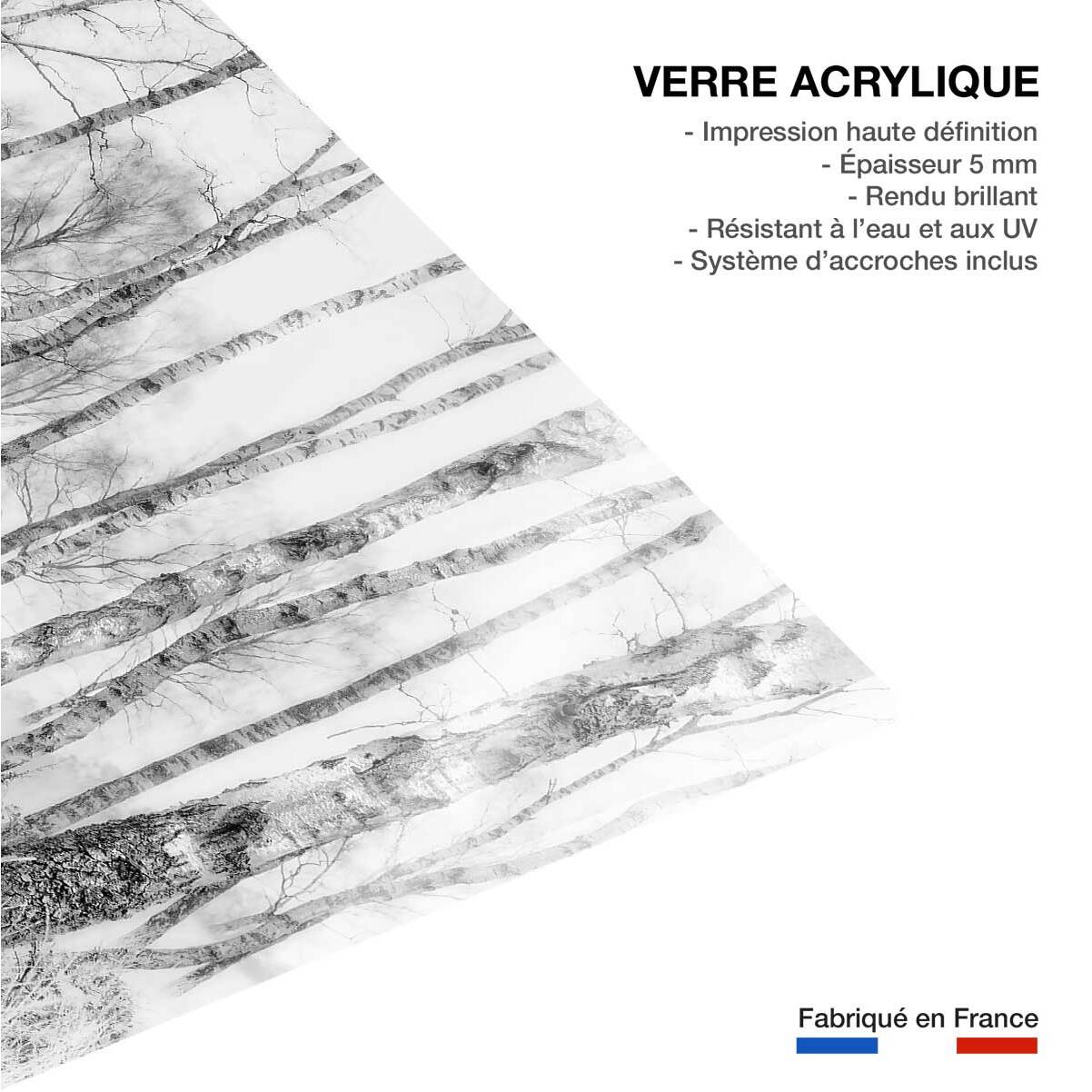 Tableau bouleaux en monochrome Tableau plexiglas