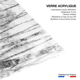 Tableau bouleaux en monochrome Tableau plexiglas