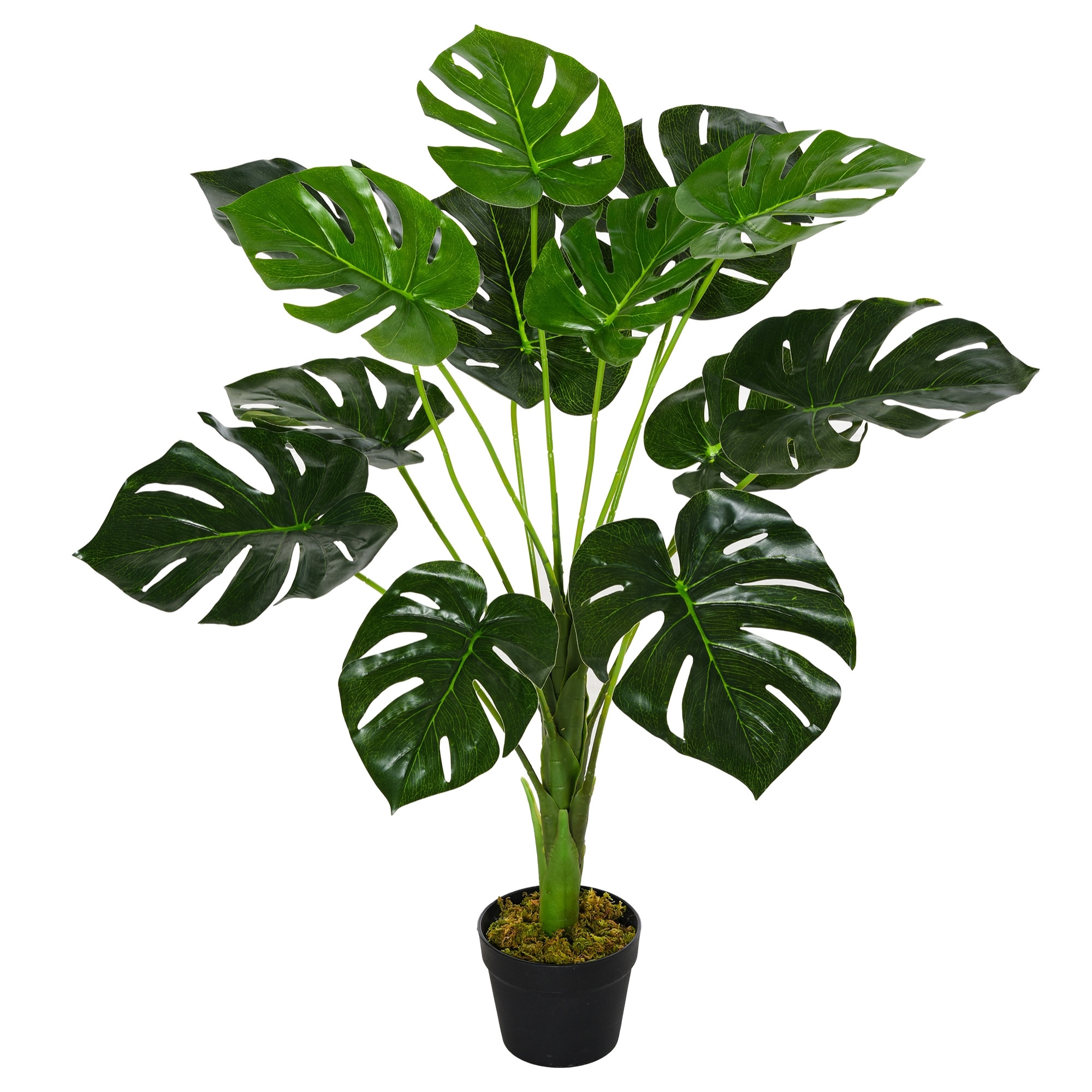 Arbre artificiel plante artificielle Monstera H. 85 cm tronc branches lichen feuilles de tortue grand réalisme pot inclus