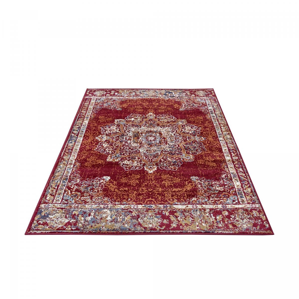 Tapis salon Rectangulaire Oriental
