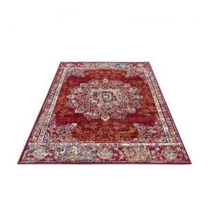 Tapis salon Rectangulaire Oriental