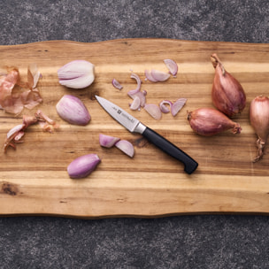 Couteau à larder et garnir 10 cm