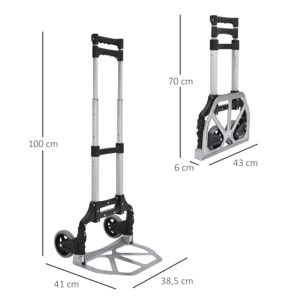 Carro Plataforma de Transporte Carretilla Plegable Carretilla de Mano hasta 70 kg