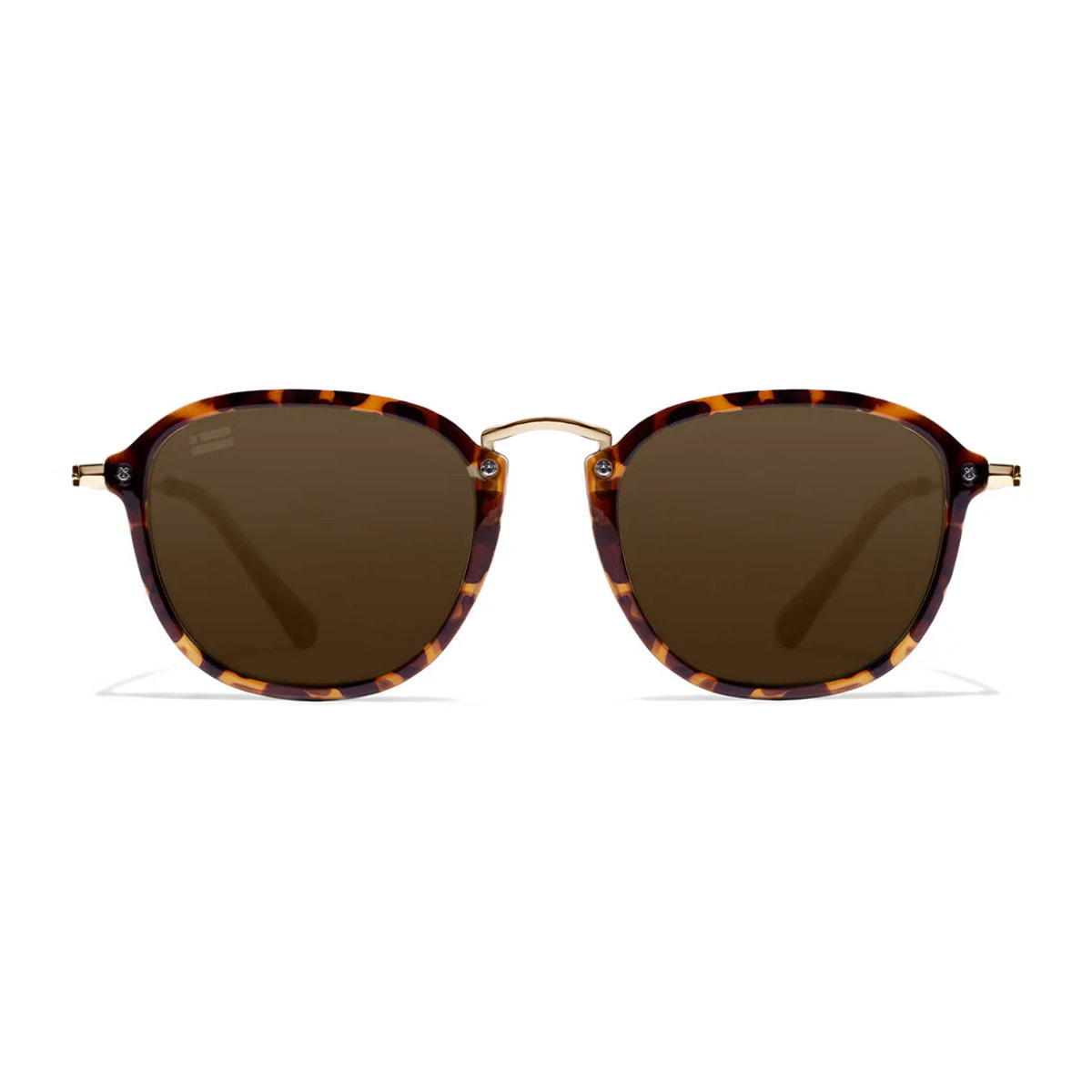 Gafas de Sol Roller SQ Carey / Brown D.Franklin