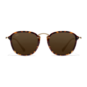 Gafas de Sol Roller SQ Carey / Brown D.Franklin