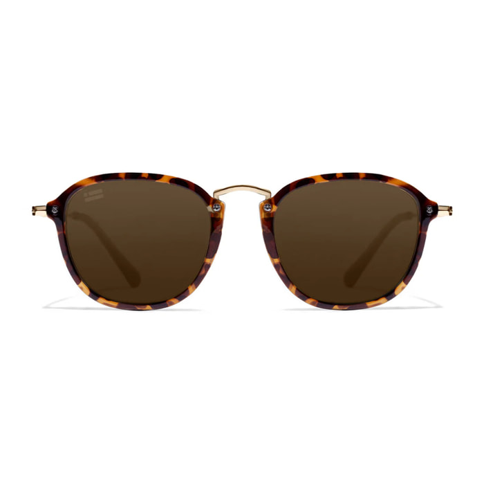 Gafas de Sol Roller SQ Carey / Brown D.Franklin