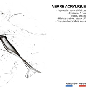 Tableau  black smoke tulip dream Tableau plexiglas