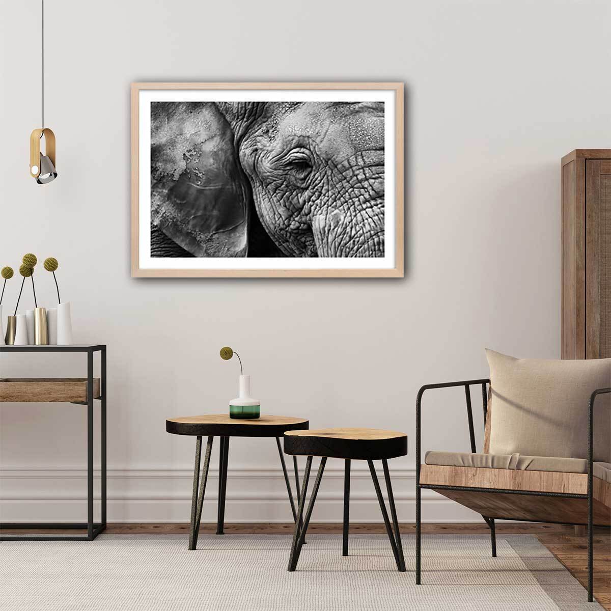 Affiche animaux Peau d'éléphant Affiche sous cadre bois