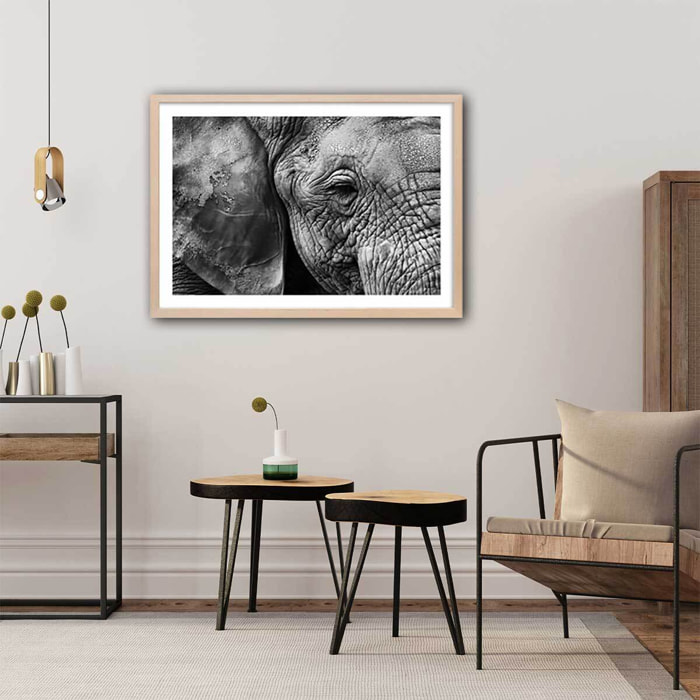 Affiche animaux Peau d'éléphant Affiche sous cadre bois